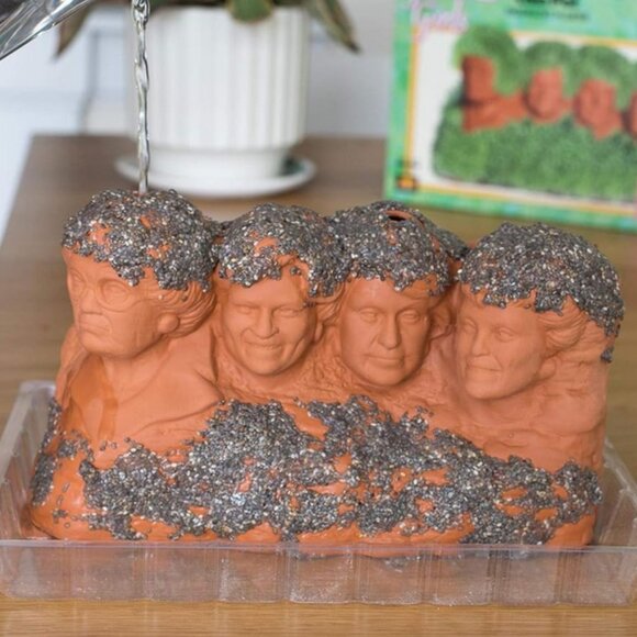 Golden Girls Rushmore Chia Pet Decorative Planter - Picture 3 of 4